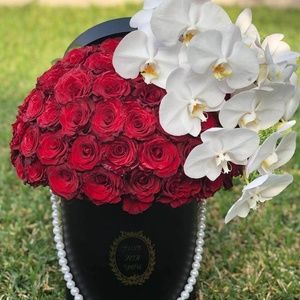 Meet your Posher, Krystal